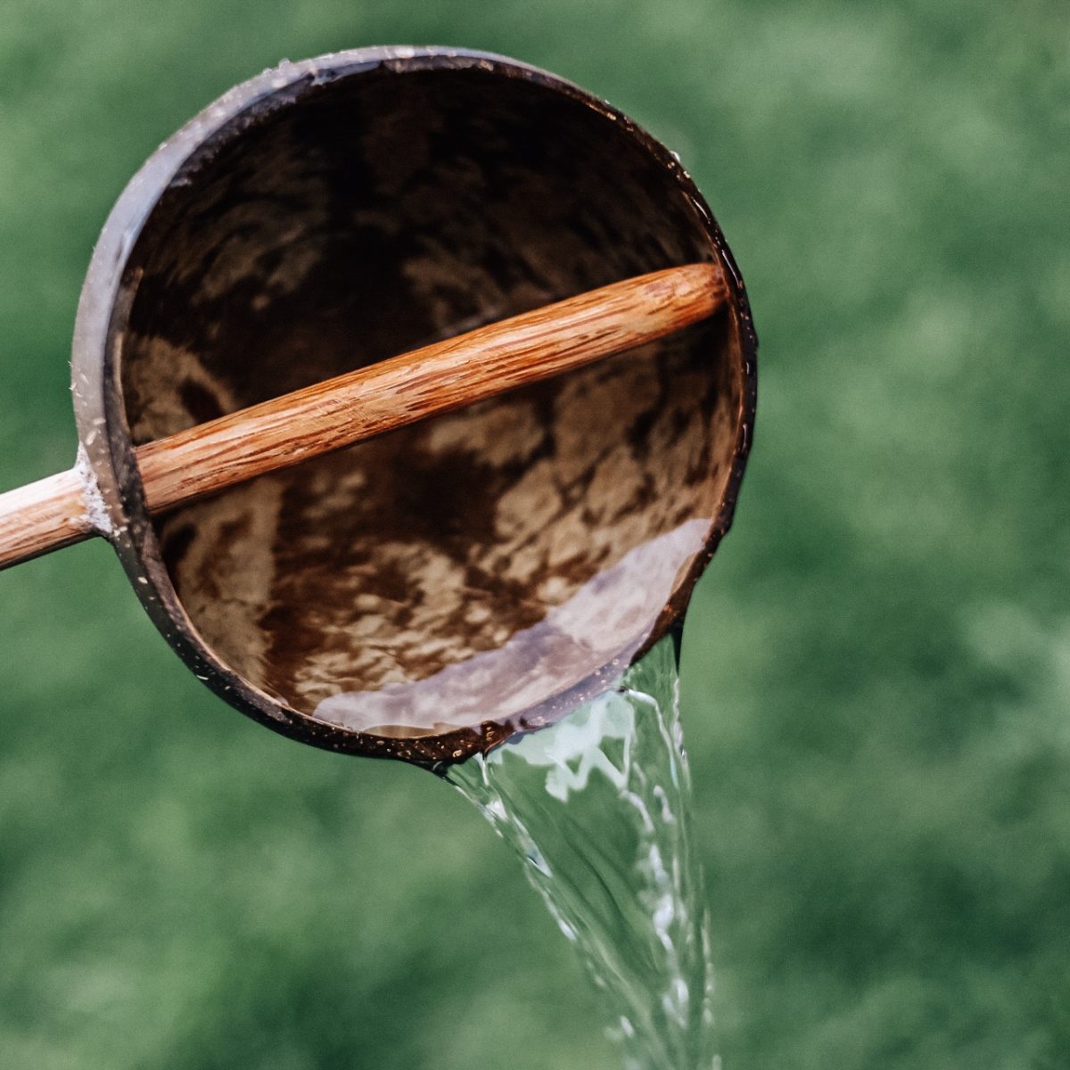 Mini Coco Shell Water Scoop