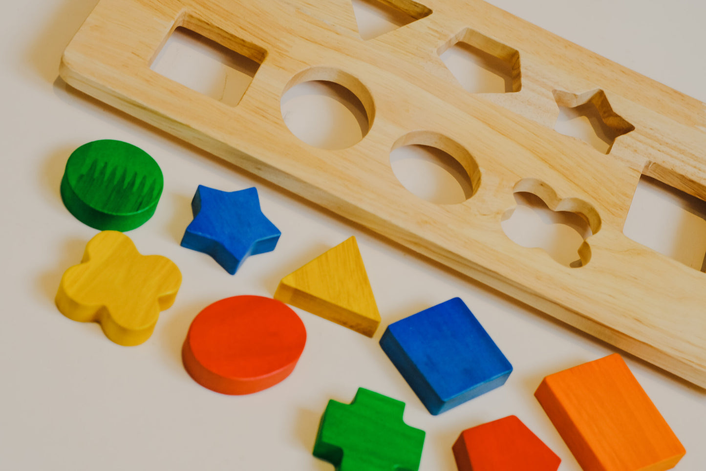Shape Tray Insert