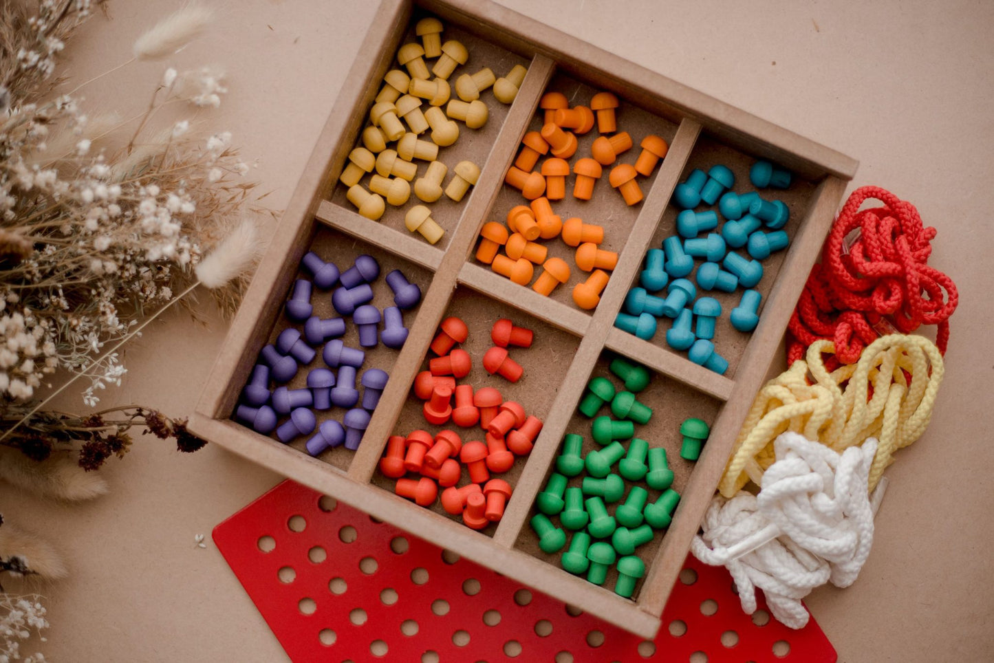 Froebel Peg and Lacing Board