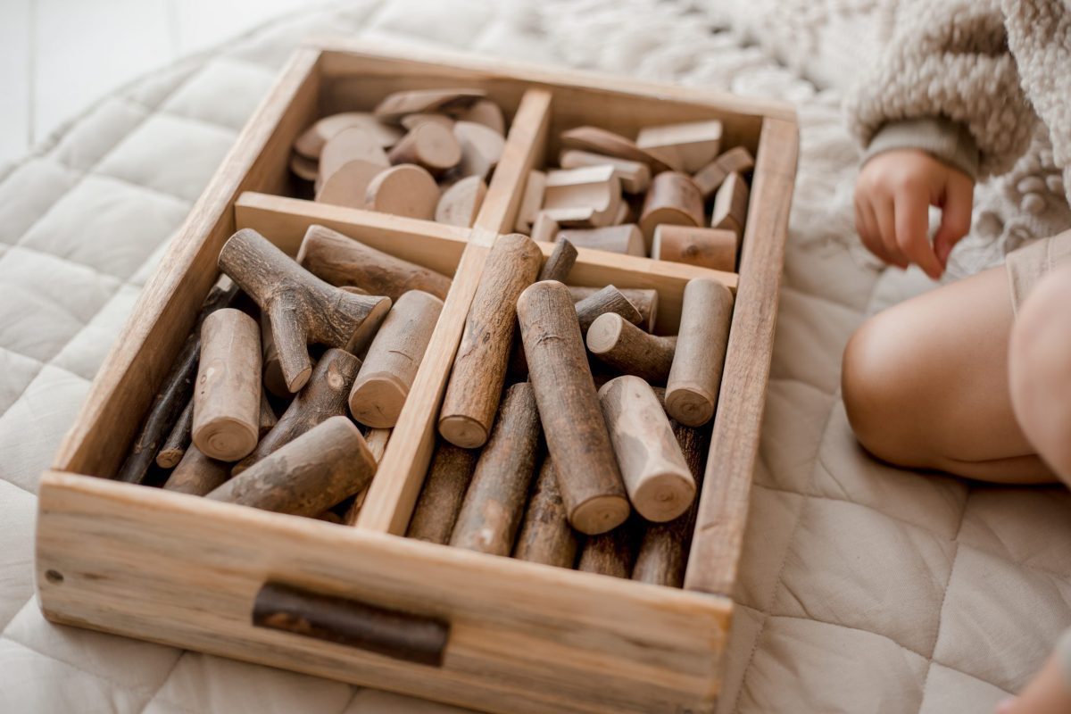 Assorted Tree Blocks
