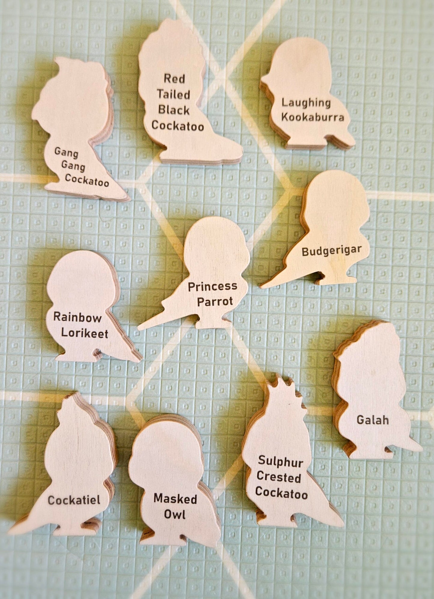 Australian Birds Set of 10