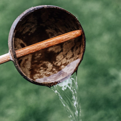 Mini Coco Shell Water Scoop
