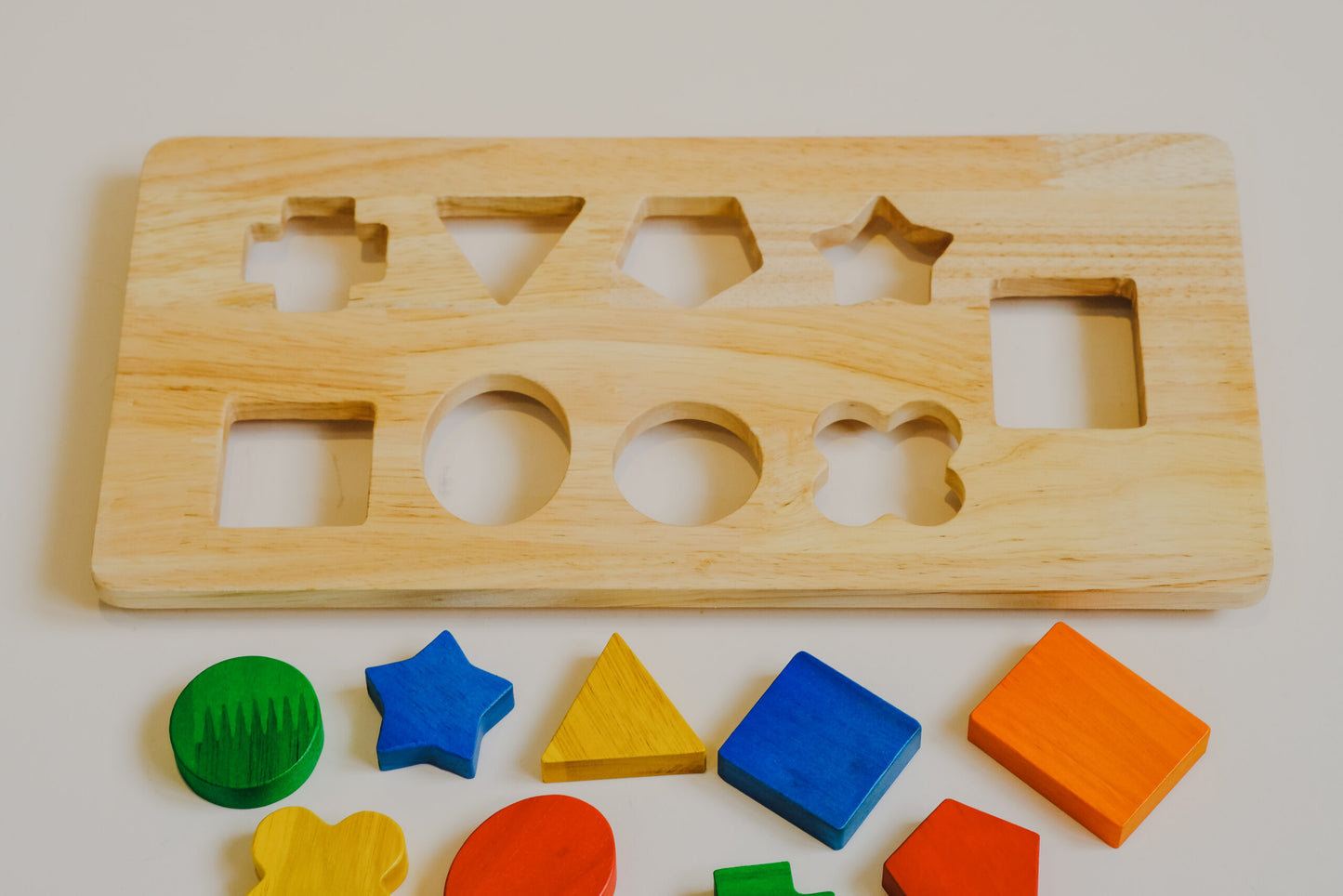 Shape Tray Insert
