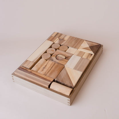 Project Blocks 117 Pcs