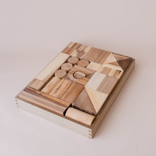 Project Blocks 117 Pcs