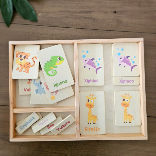 Montessori Tray for Language Cards