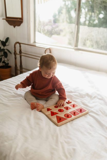 Toddler Knob Shape Puzzle