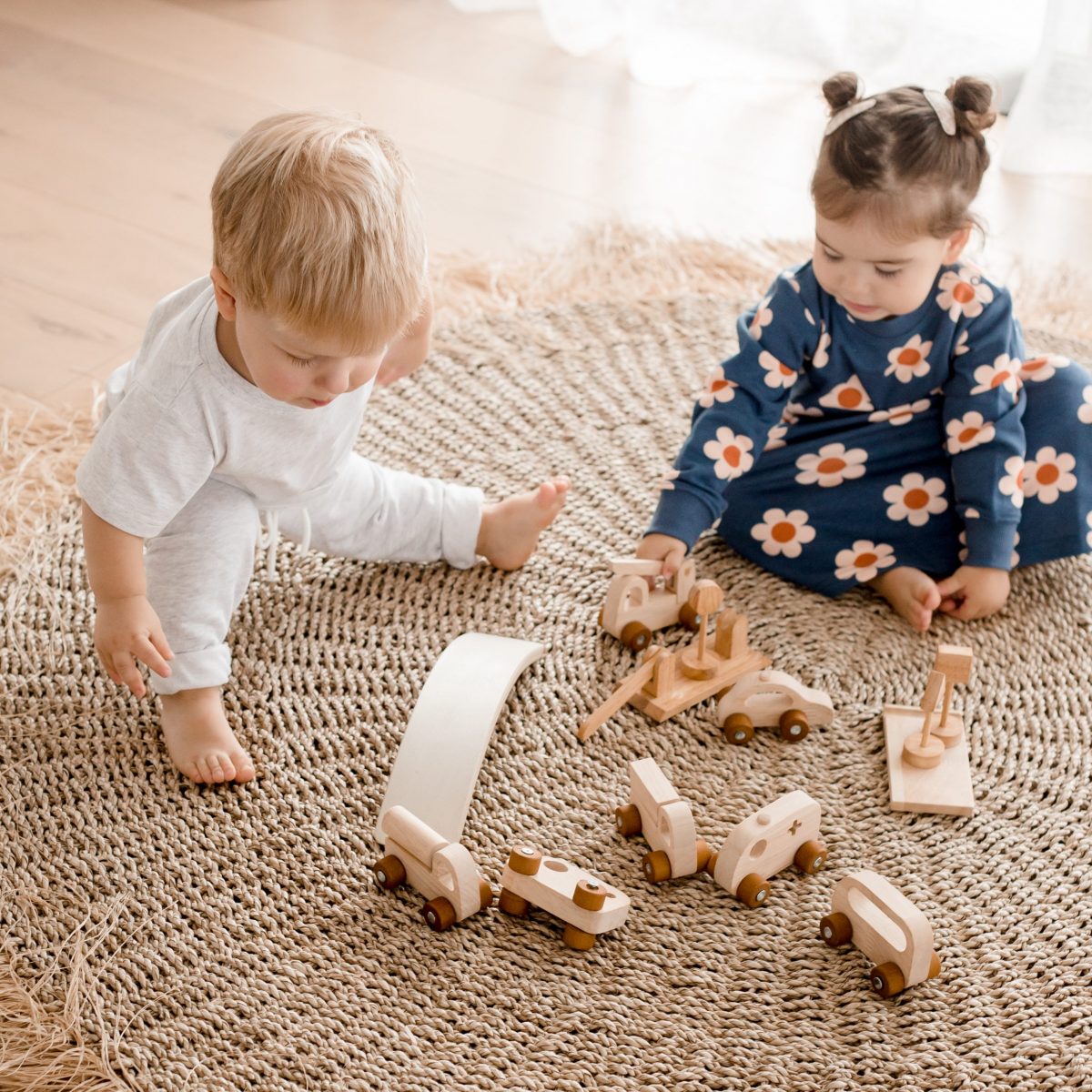 Vehicle Play Set