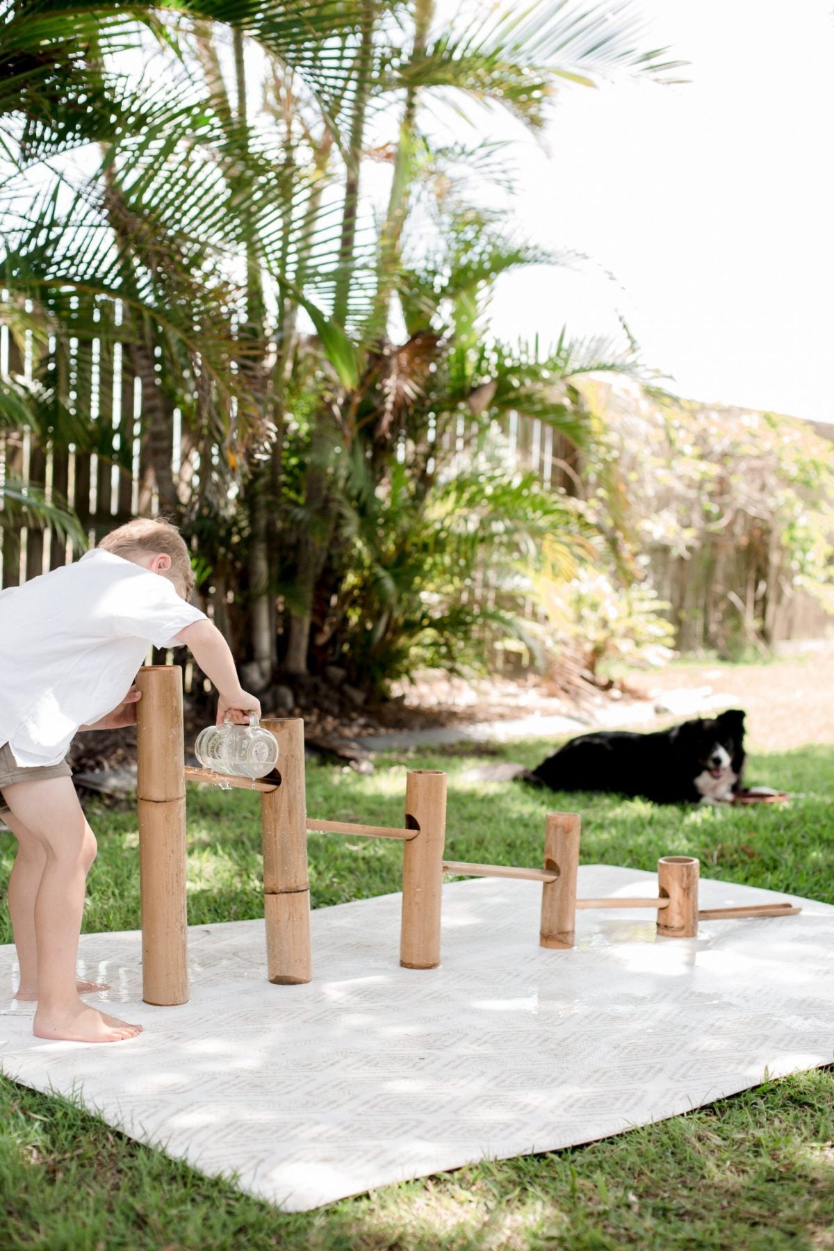 Bamboo Roll A Ball Track