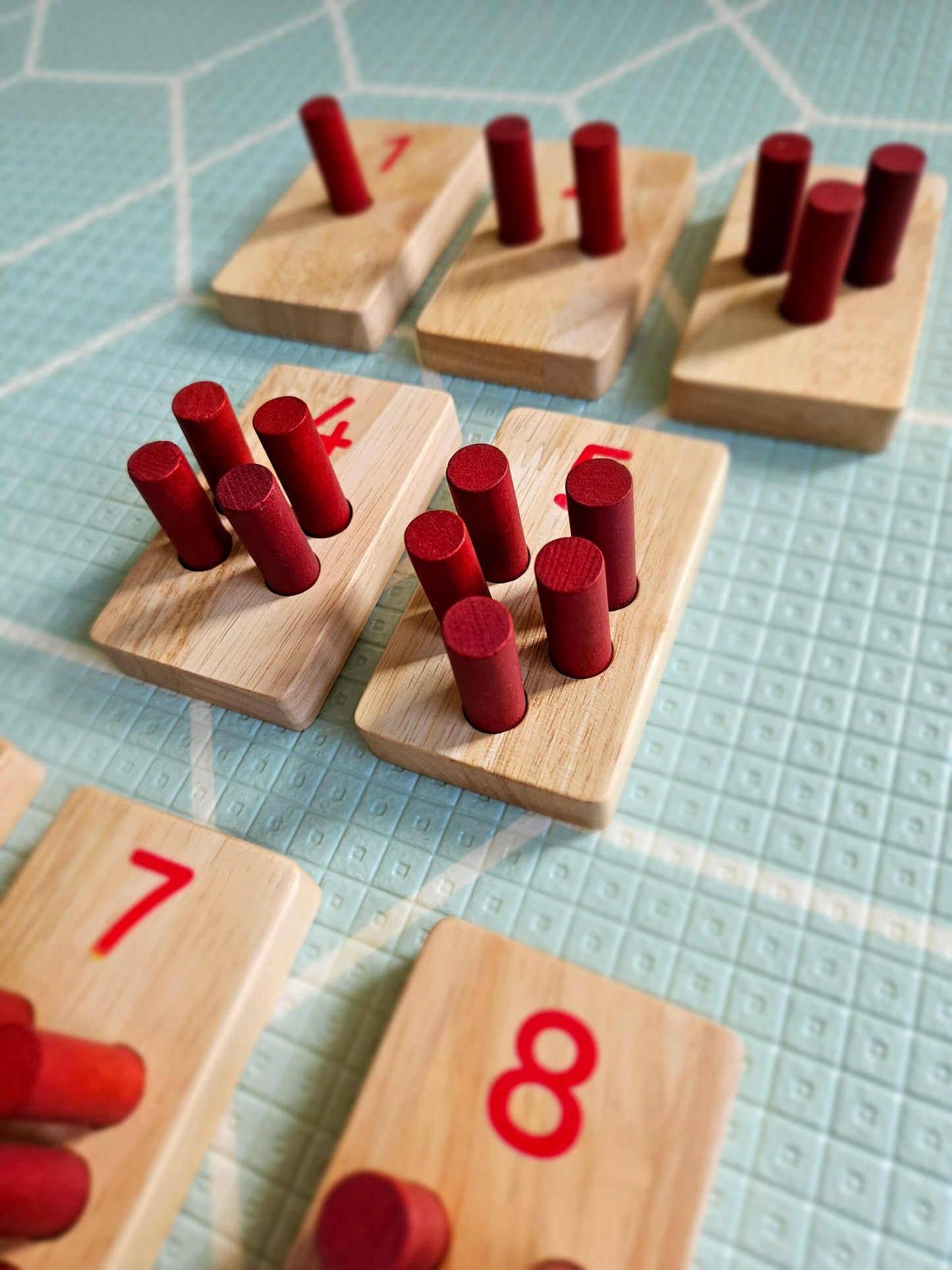 Montessori Counting Set