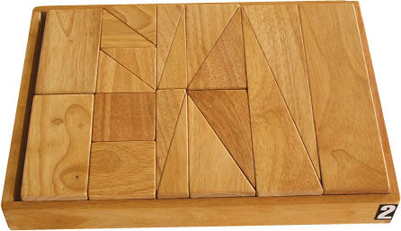 Project Blocks 207 pcs